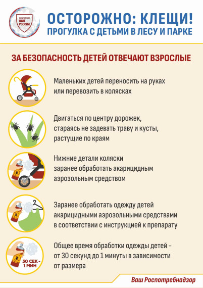 О профилактике инфекций, передающихся при укусе клещей.